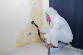 Biohazard Mold Removal in Strathmore, CA